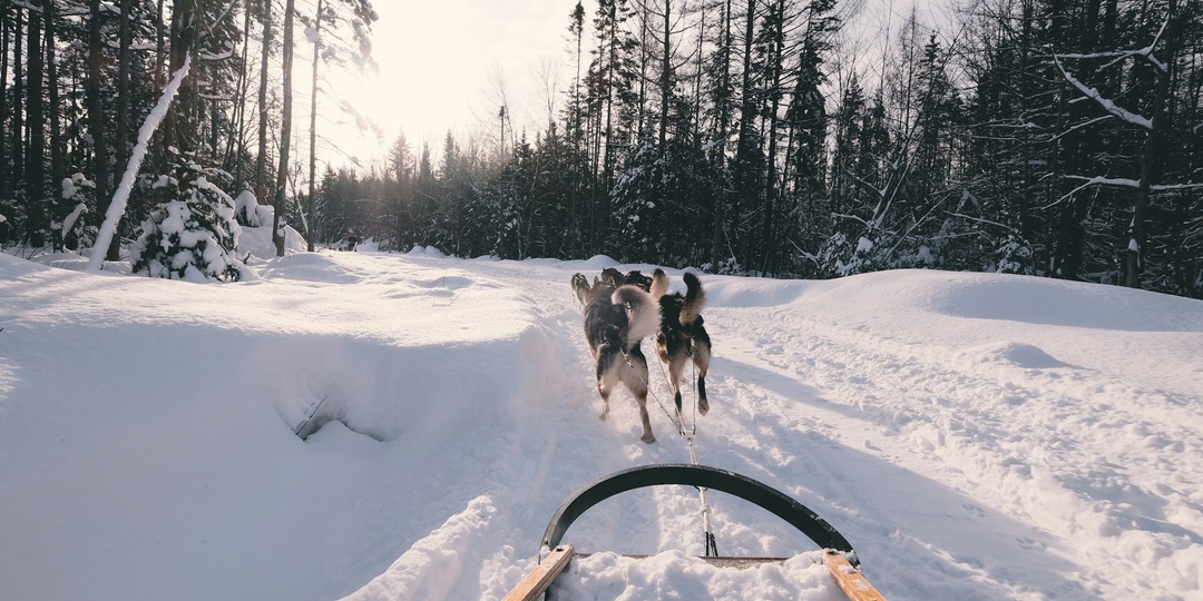 Тур в Карелию на выходные: стоит ли ехать в феврале? Ожидания vs реальность