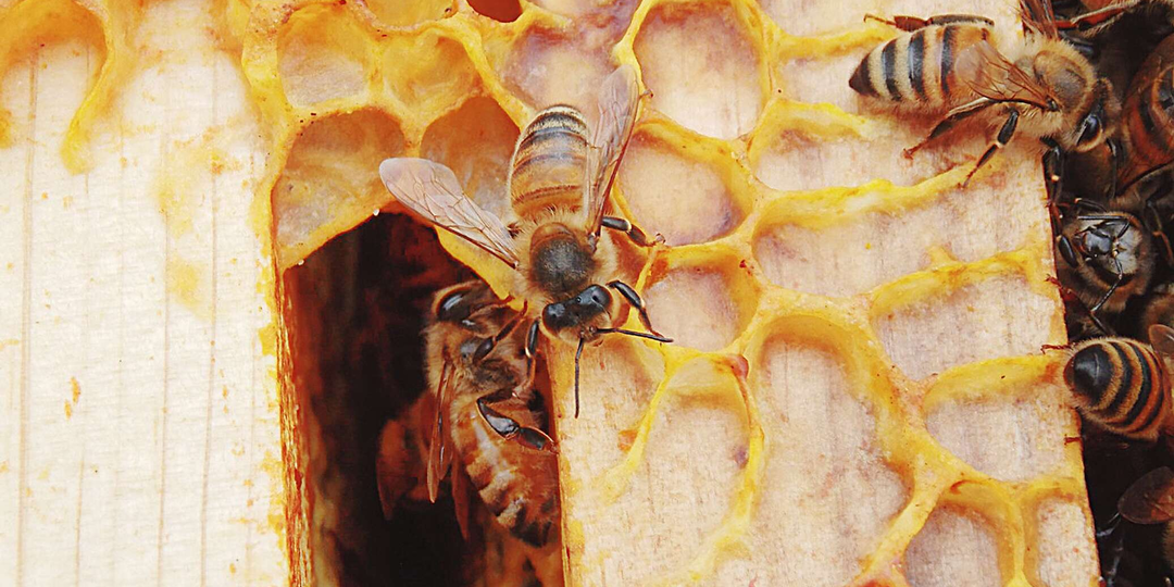 Основные правила расширения гнезд