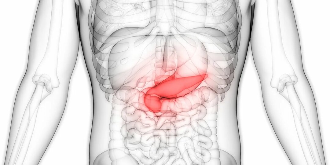 Ваша поджелудочная не просит многого: простые шаги к восстановлению
