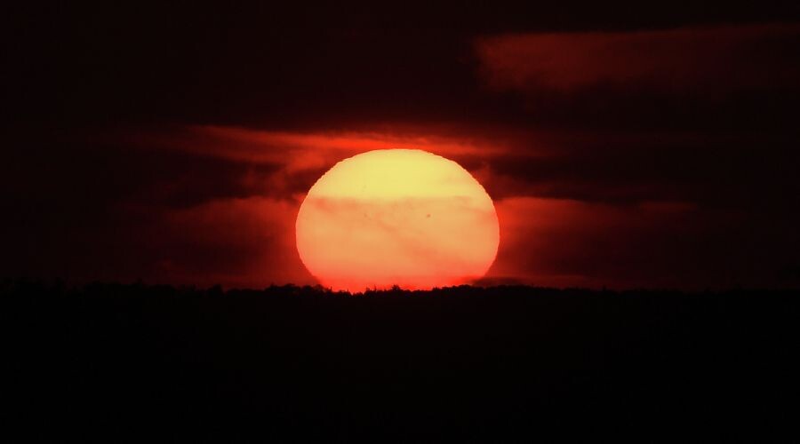     / Источник: © Илья Наймушин/РИА Новости