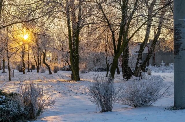    Какая погода будет в Москве и регионах 31 января и 1 февраля 2026 года?