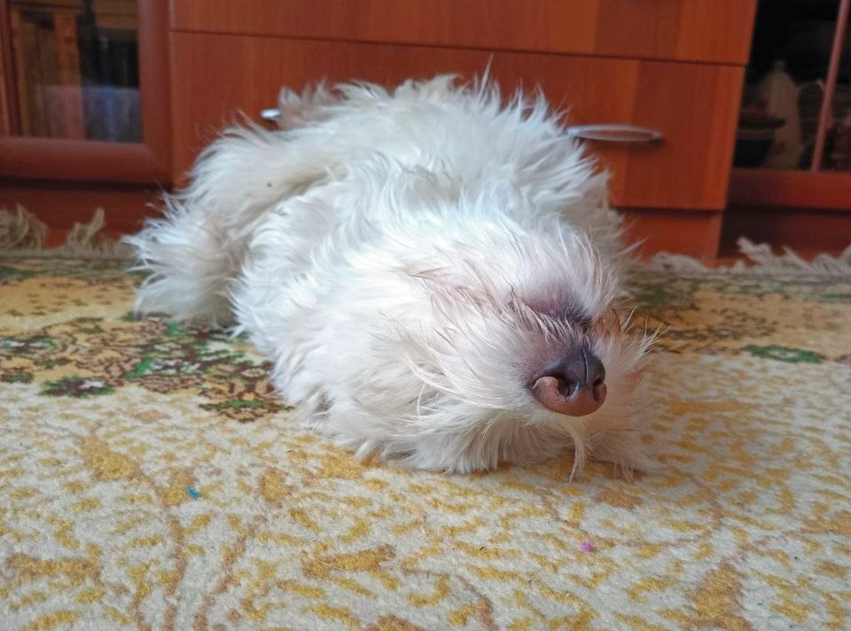 Но все равно можно покайфовать