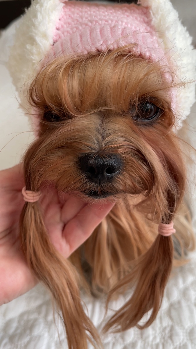 Эти грустные глазки ( но … здоровье важнее. 