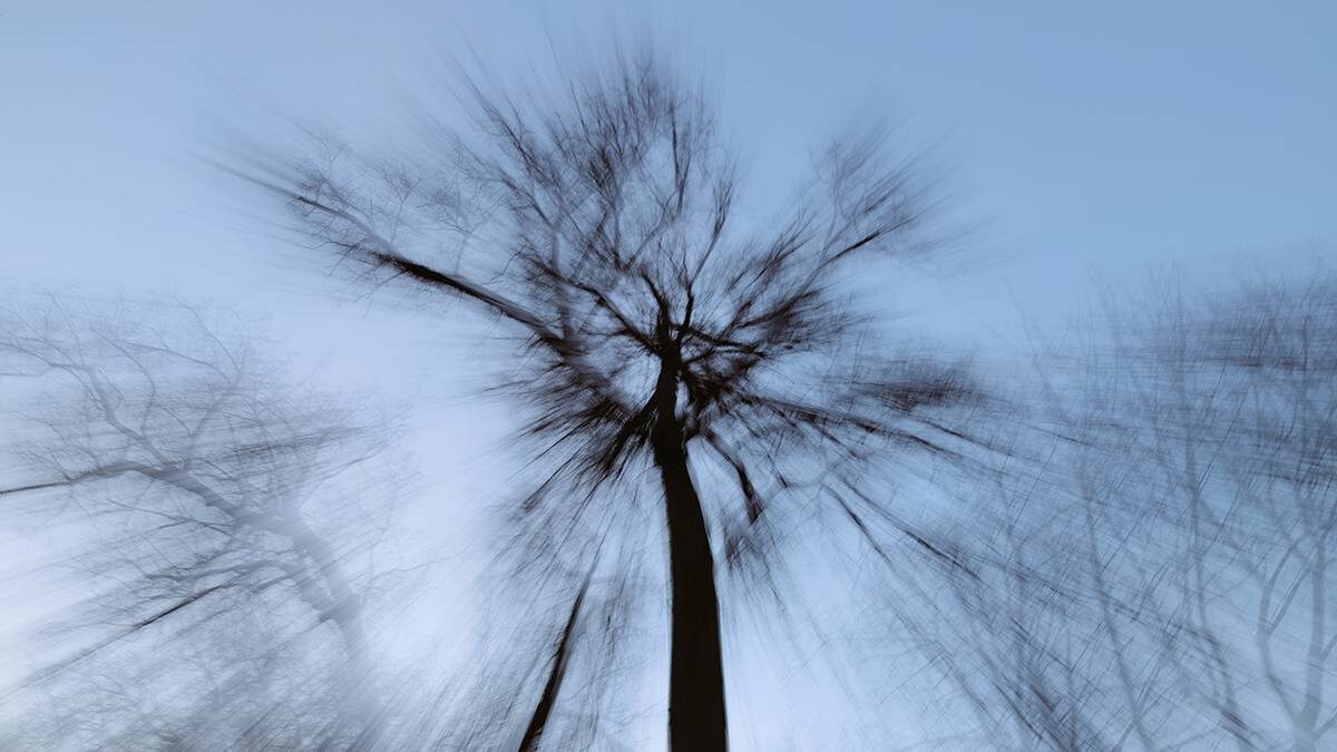    Фото: Анатолий Цымбалюк / Вечерняя Москва