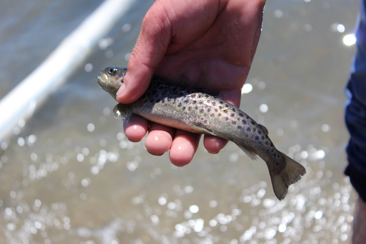 Фото: econews.am