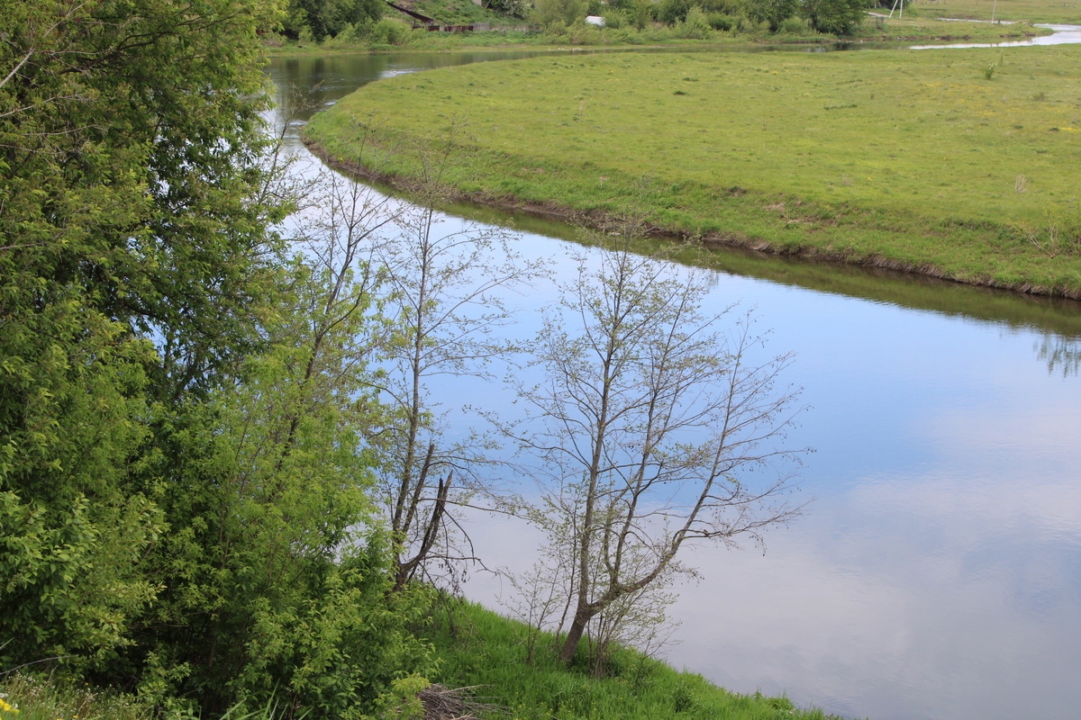     Бер балаһын юғалтыу, икенсеһен иҫенә төшөрҙө