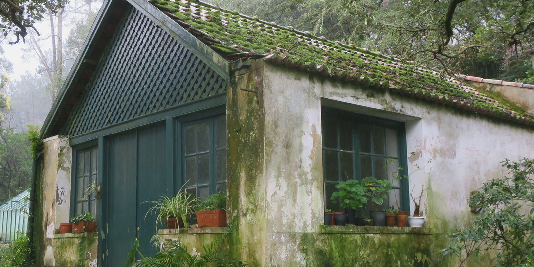 Скрытое сокровище парка Монсеррат в Синтре