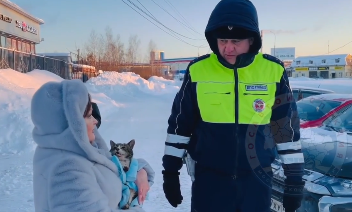     / Источник: © Госавтоинспекция Московской области