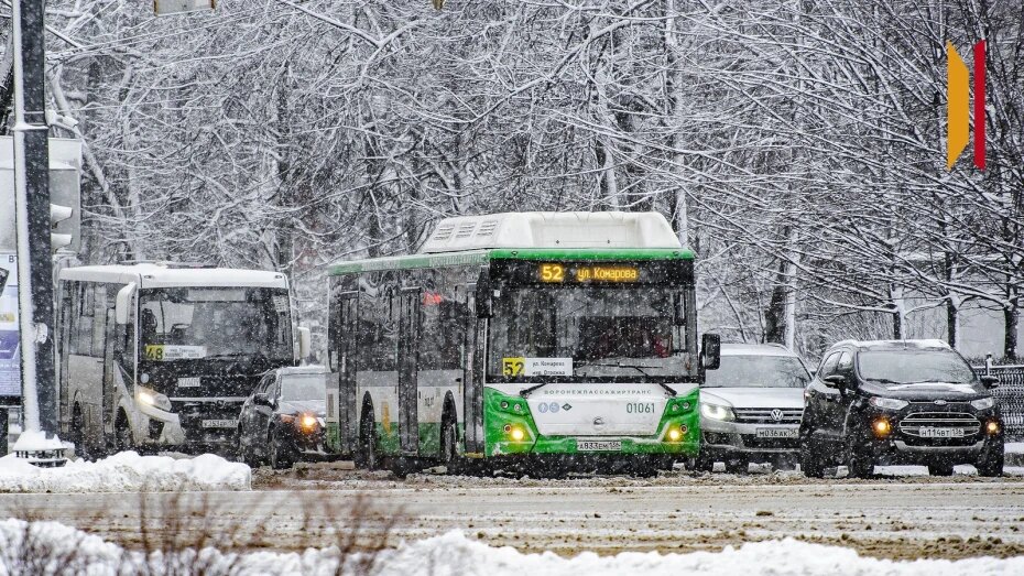 В Воронежской области объявили штормовое предупреждение из-за снегопада 31 января