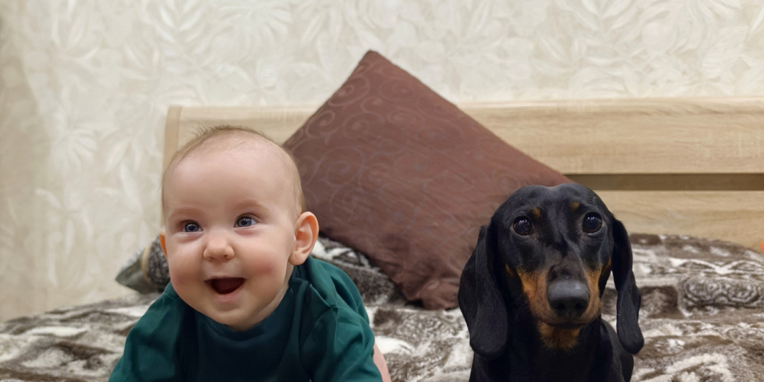 Джульетта, Симба и детство, которое ушло вместе со старым псом