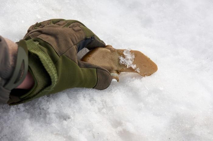 Обложка © Shutterstock / FOTODOM / Zanger Zheleznog