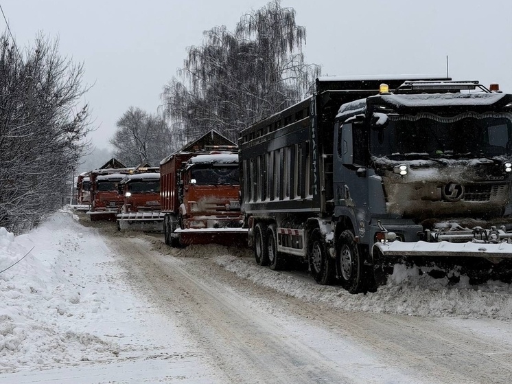     Фото: страница Александра Черных ВКонтакте