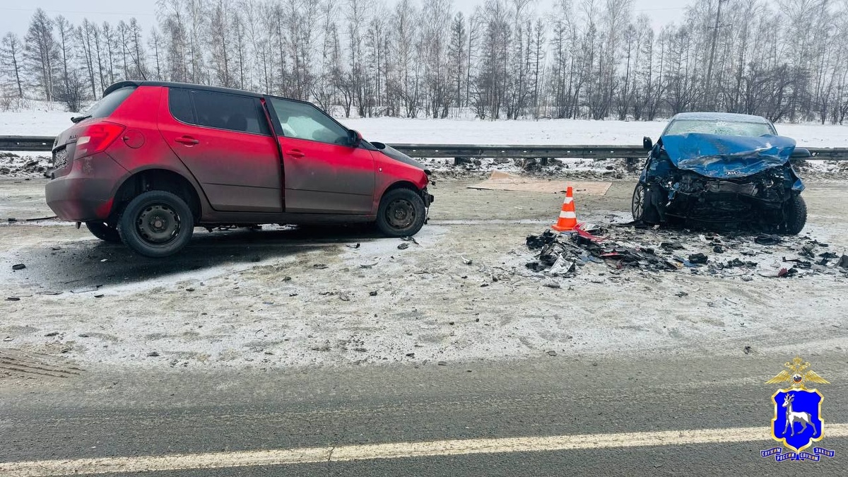    Фото ГУ МВД РФ по Самарской области