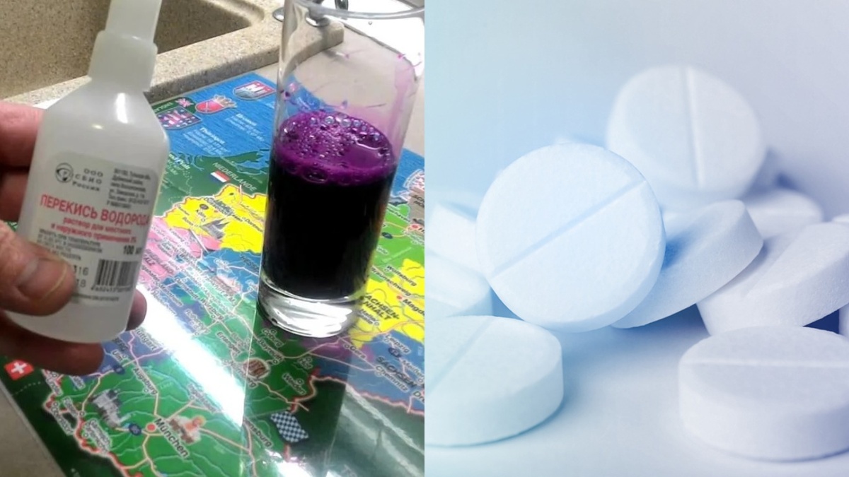 Три простых средства из аптеки против черной ножки рассады