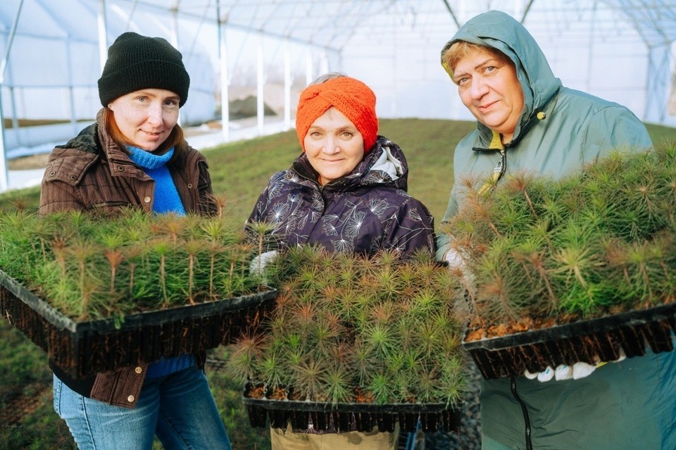    3 тысячи гектаров леса восстановят в Кузбассе в 2026 году по нацпроекту.