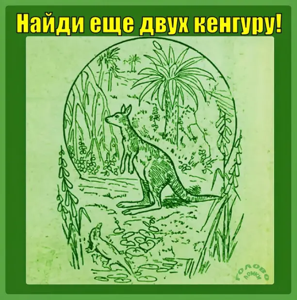 🦘 Найди скрытых кенгуру: винтажный квест на внимательность!