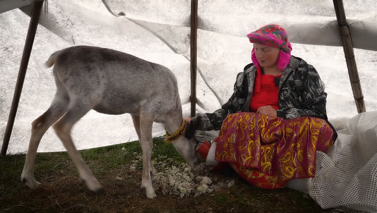 Кадр из видео «В гости к коми оленеводам. Как приручить оленя | Изьватас олэм»/АНО «Ямал-Медиа»