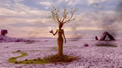 Превращение в Мага. Фото из Интернета в свободном доступе. Благодарю автора!