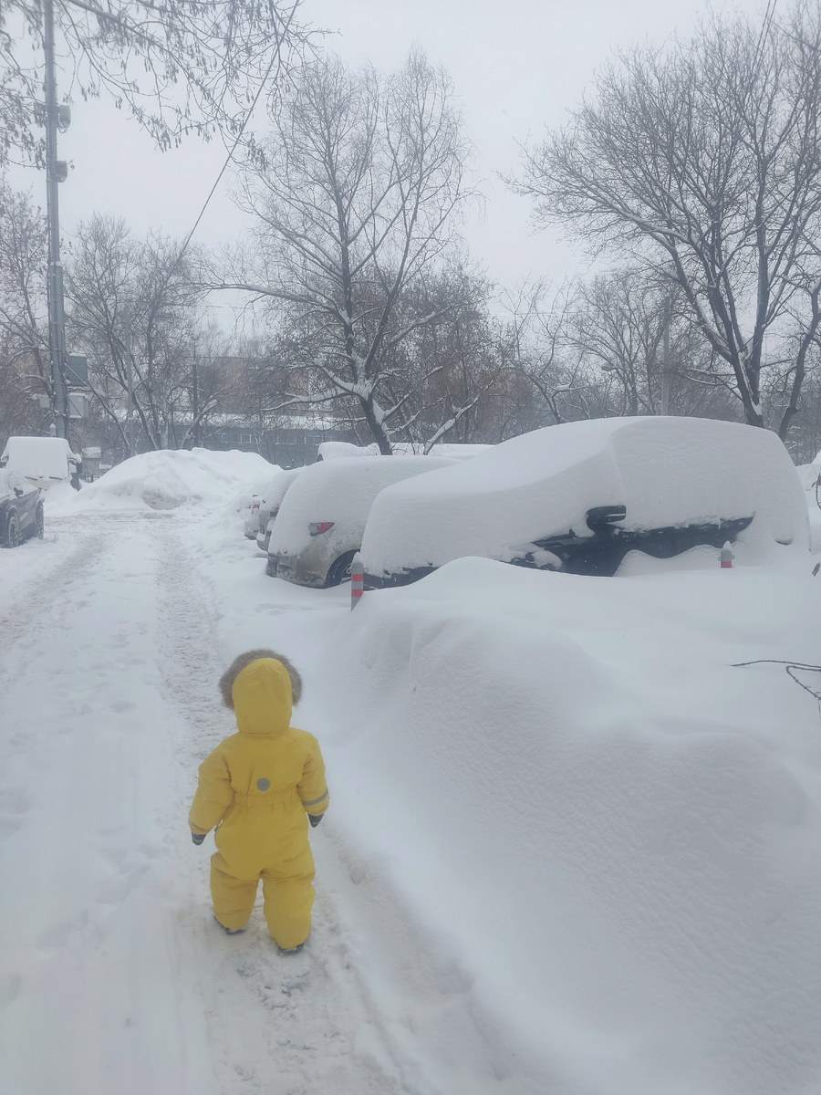 Опять откапывались