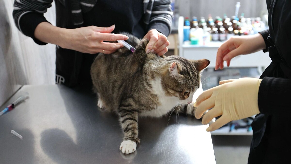    Фото: Андрей Ткачев/«Ямал-Медиа»