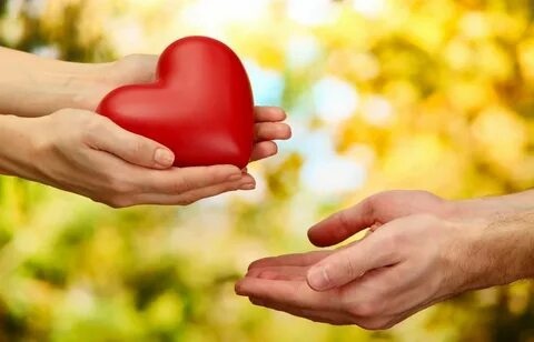 Моя жизнь... Фото из Интернета в свободном доступею Благодарю автора!