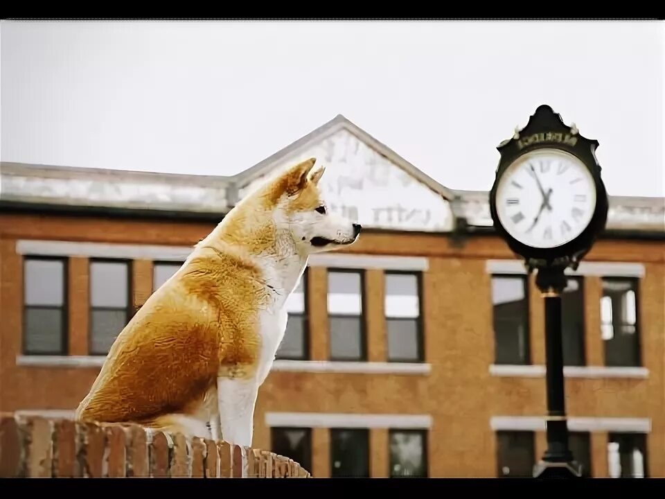 Картинка взята из Интернета