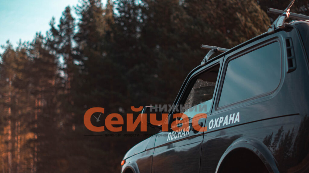    Фото: пресс-служба губернатора и правительства Нижегородской области Редакция nn-now