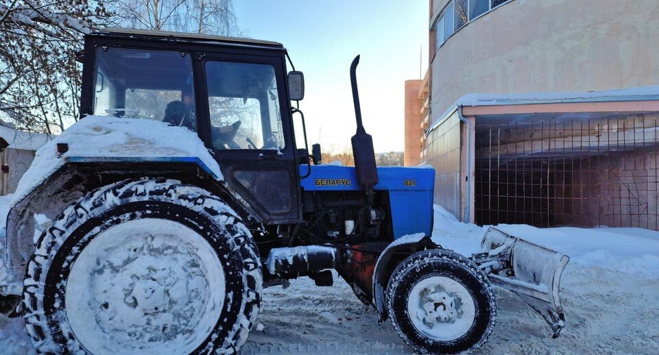    Виктория Фортуна