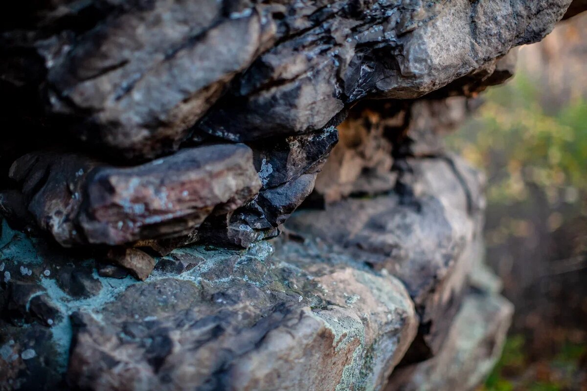 Фото: Центр общественных коммуникаций ЮФУ