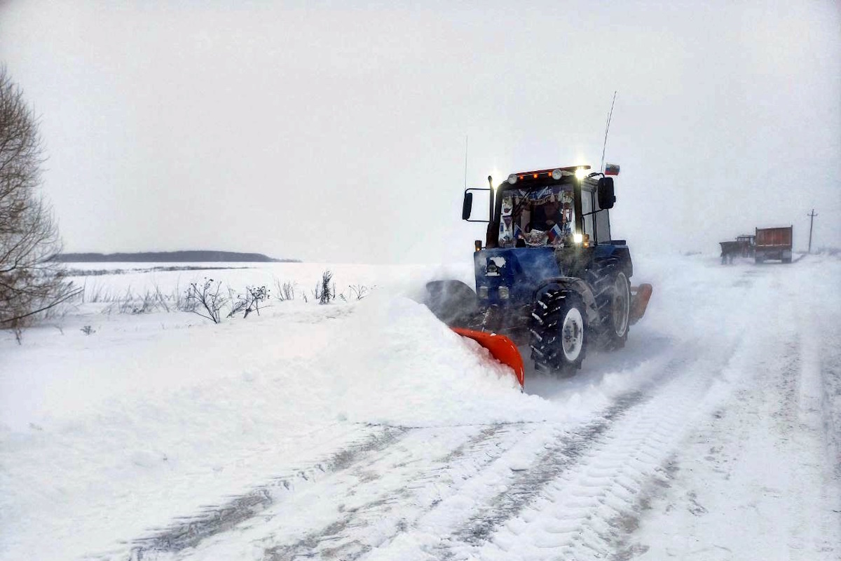    Фото: ГБУ «Владупрадор», источник: 6tv.ru