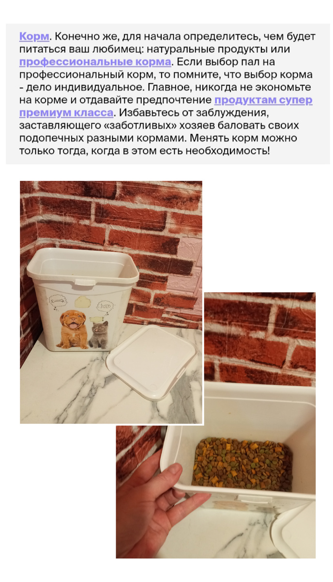 В основном мы пользуемся: пурина, вискас, отварное мясо курицы.. 