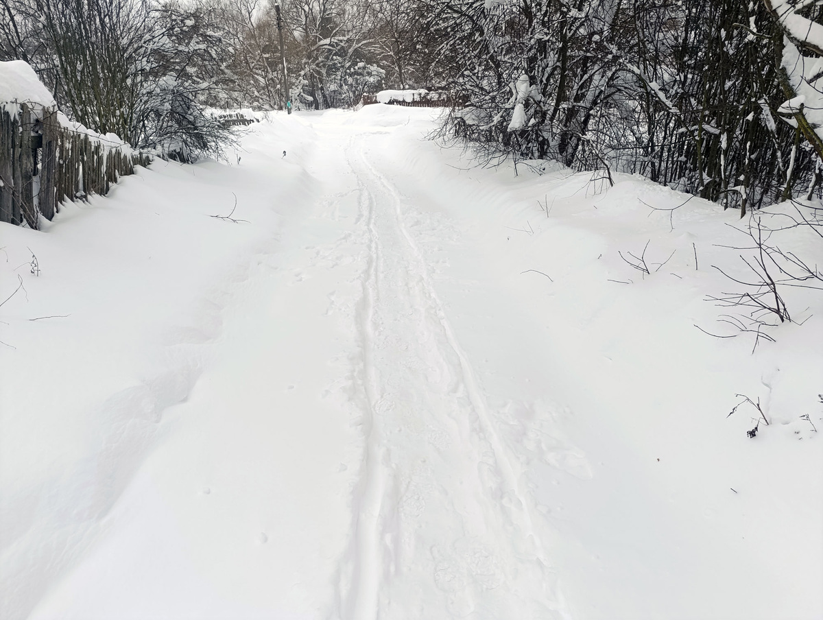 На следующий день все замело