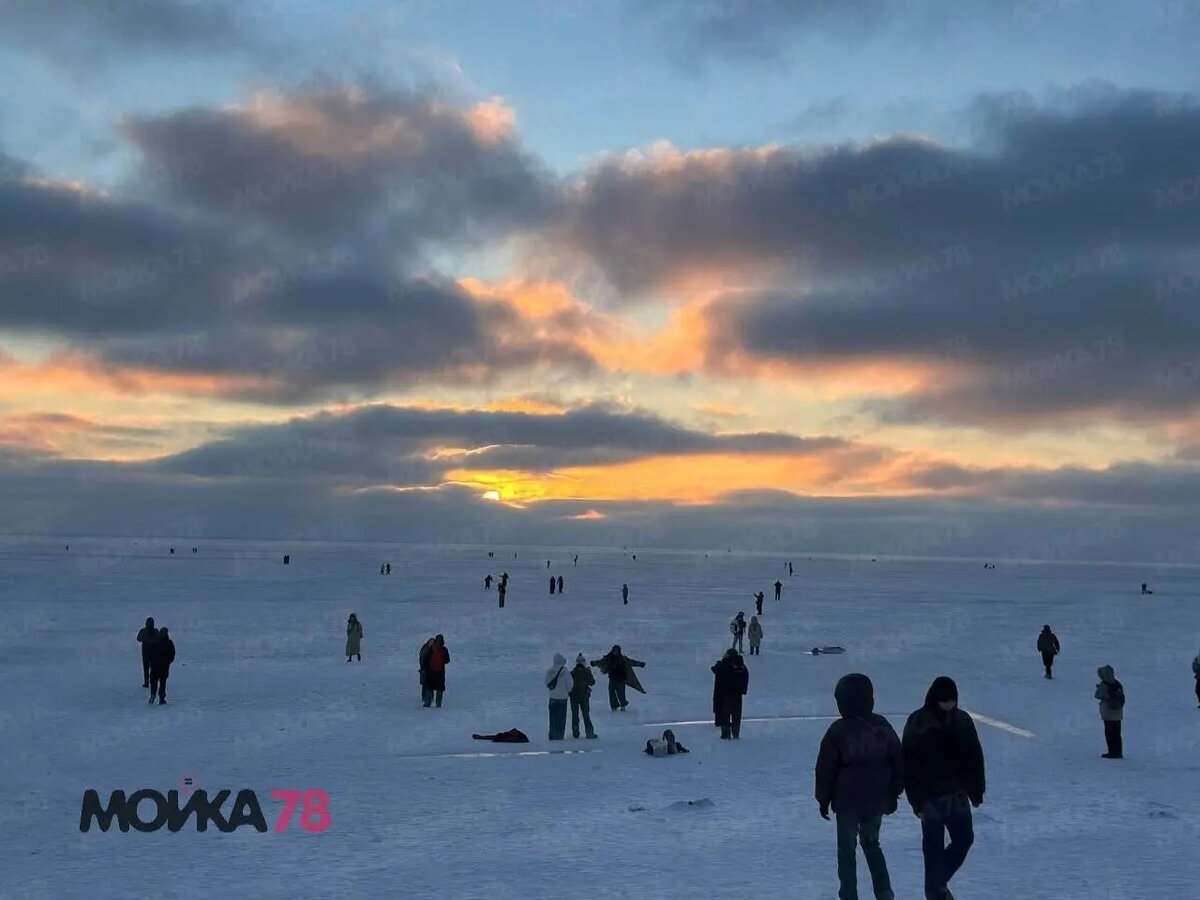    Финский залив, 29 января. Фото: Мойка78
