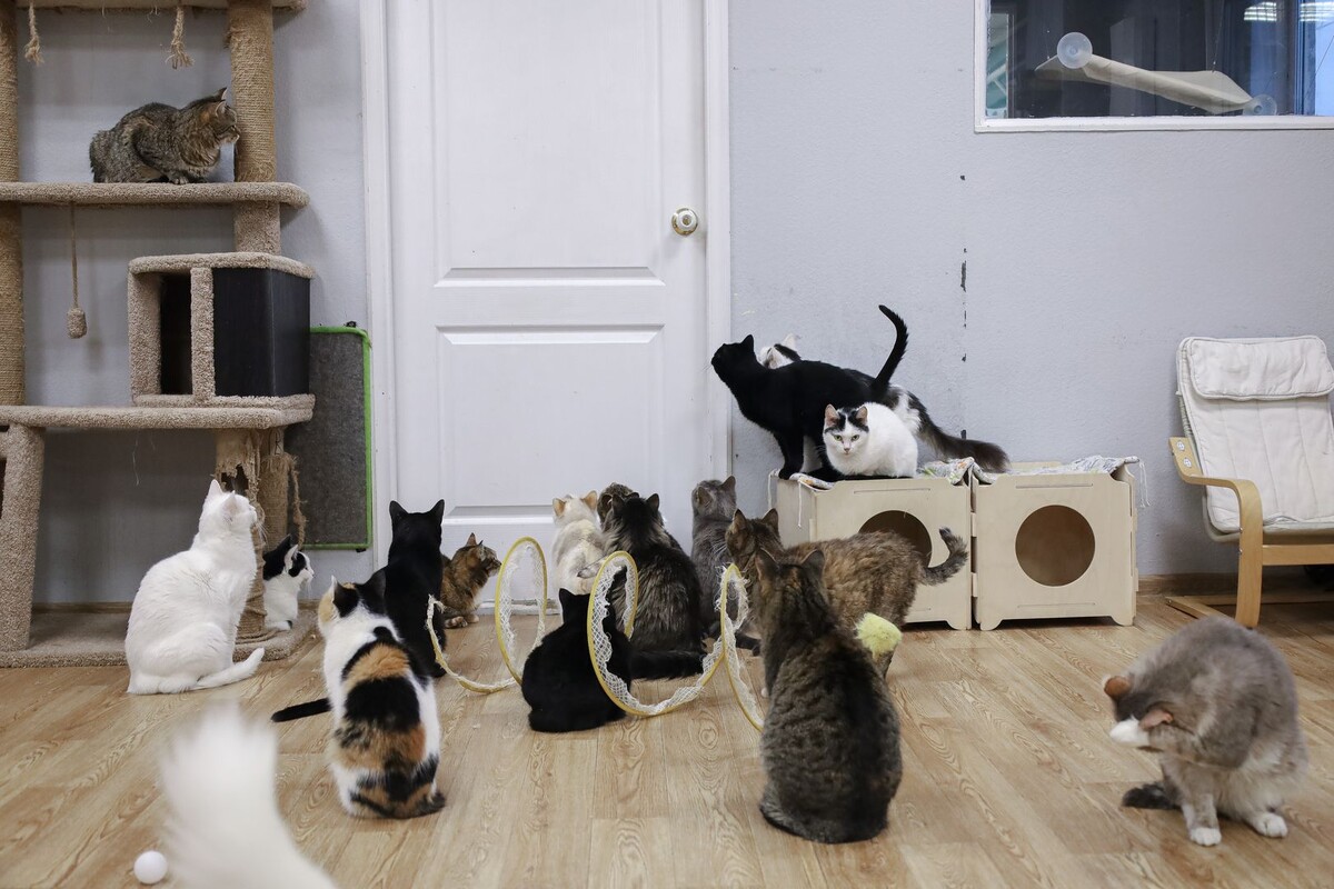     / Источник: © Global Look Press