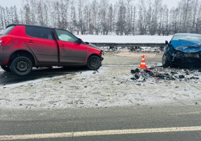 Фото предоставлено ГУ МВД по Самарской области