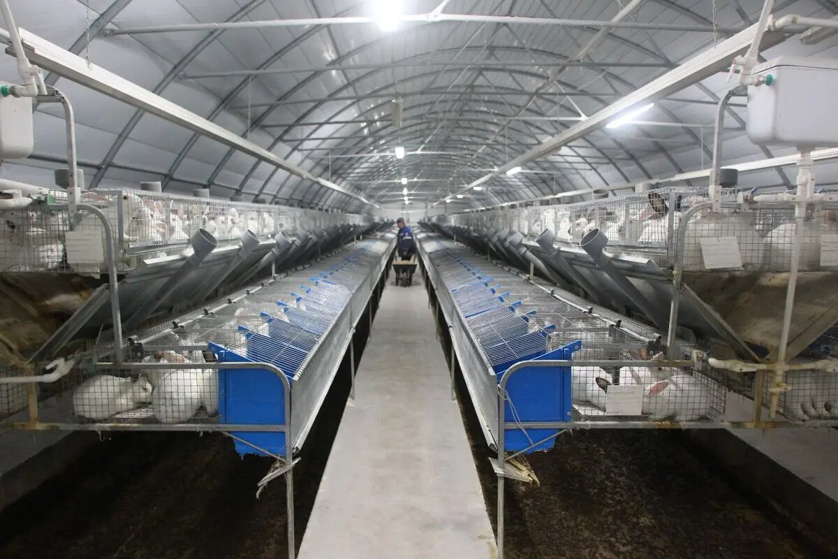     © "Интерфакс". Федор Ларин