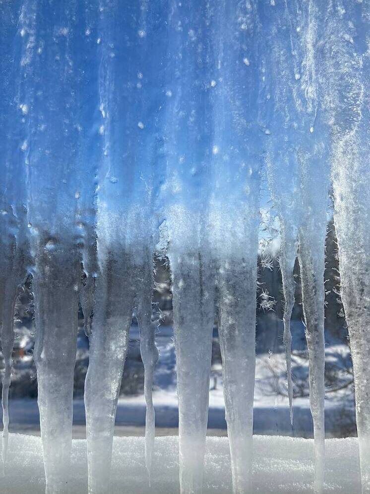   Елена Полякова