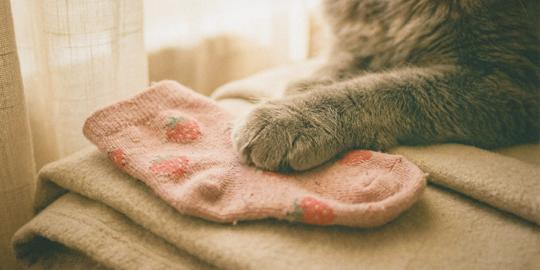 Кошачье гнездо: странное исчезновение детских вещей