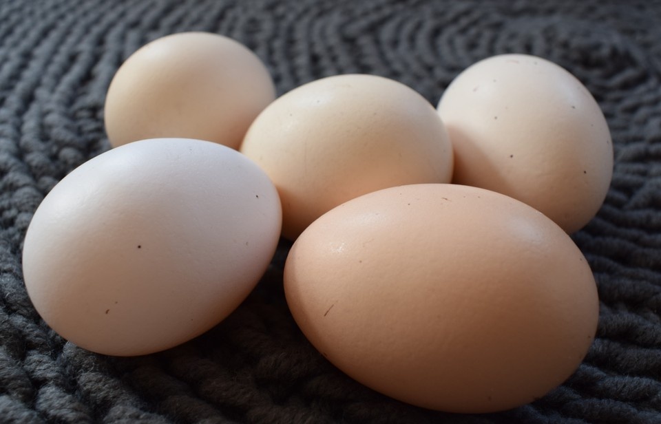    Цены на сыр и яйца выросли в Орловской области в декабре Елена Зябкина