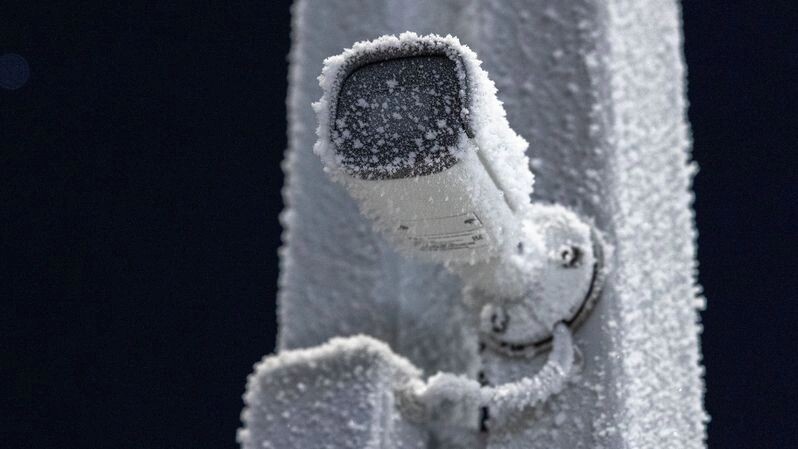    Фото: Федор Воронов / «Ямал-Медиа»