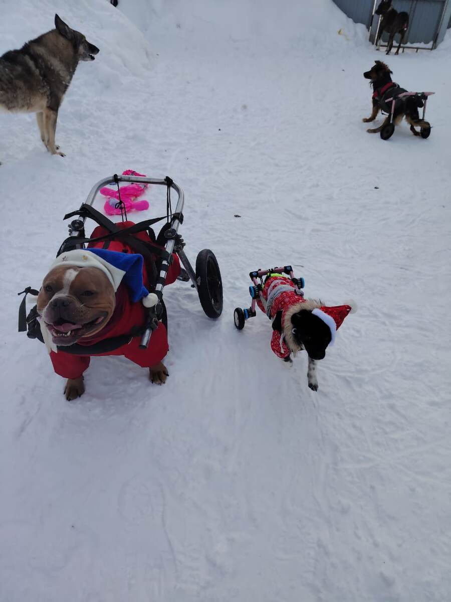 Ну вот и праздники прошли