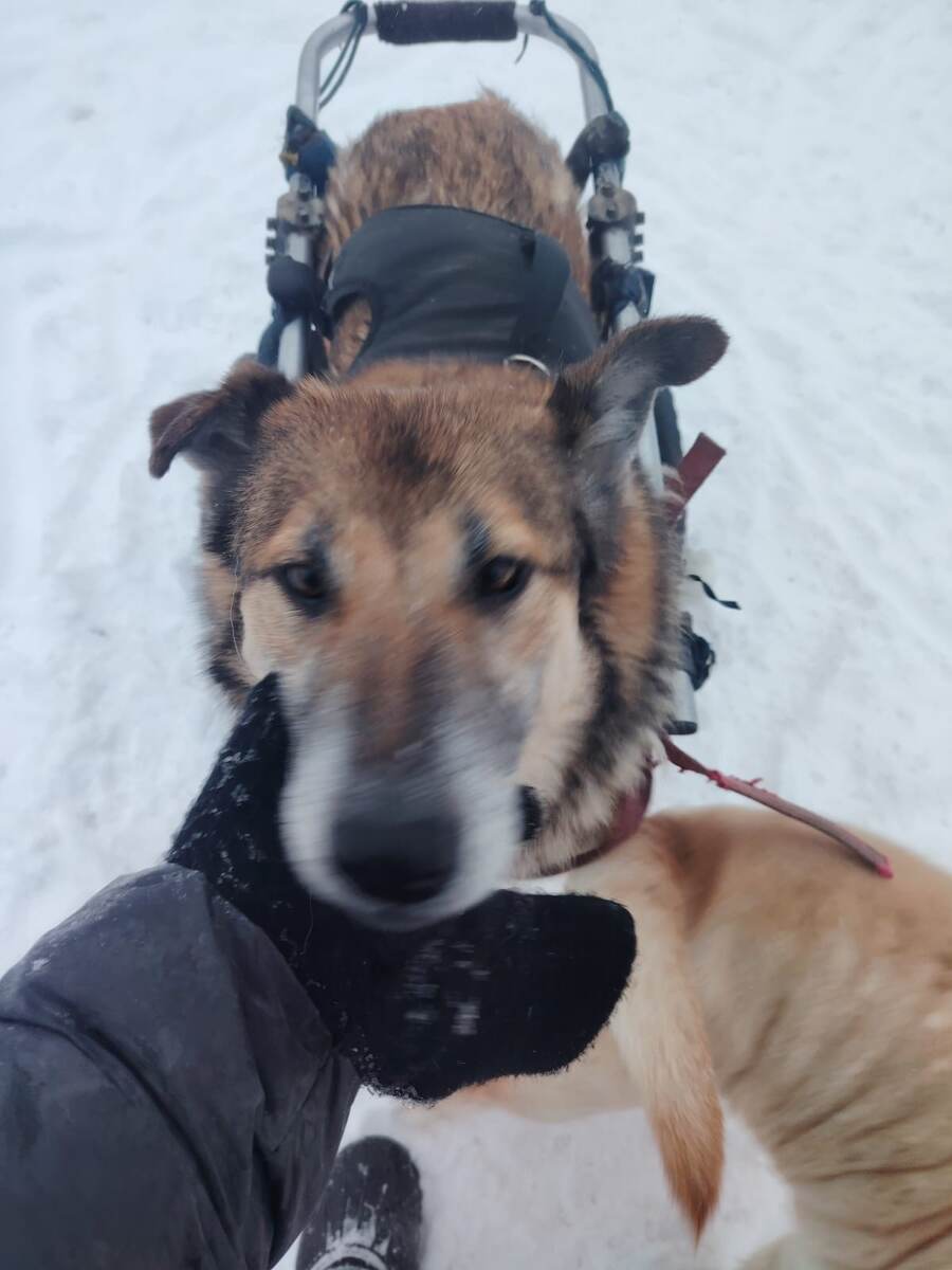 Ной из Якутии