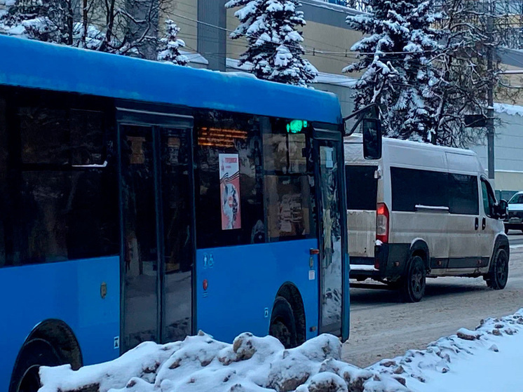     фото: екатерина лукашова / мк черноземье