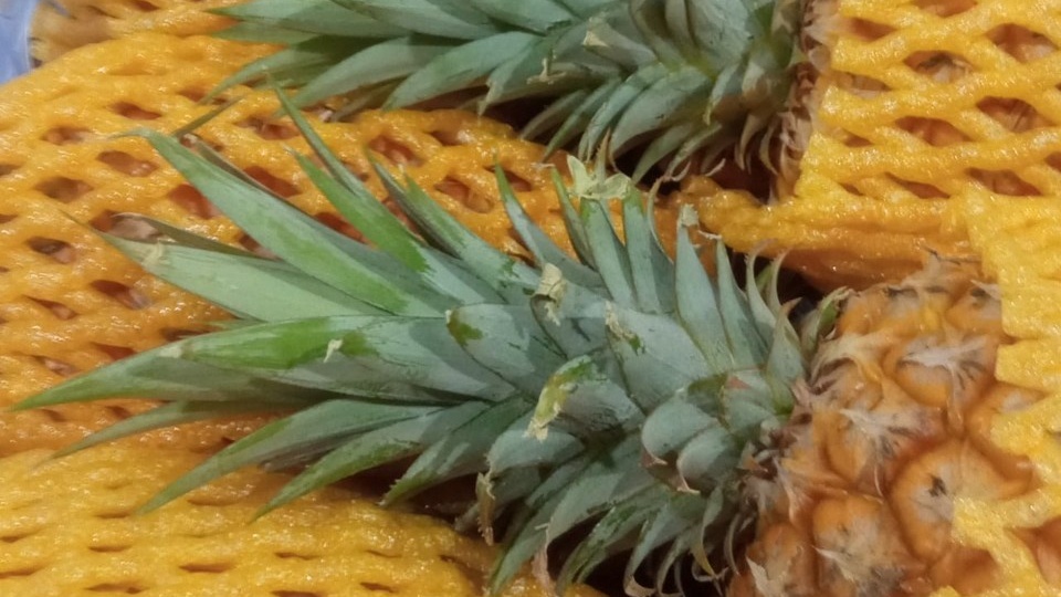 В Красноярск из Китая пытались ввезти опасные ананасы