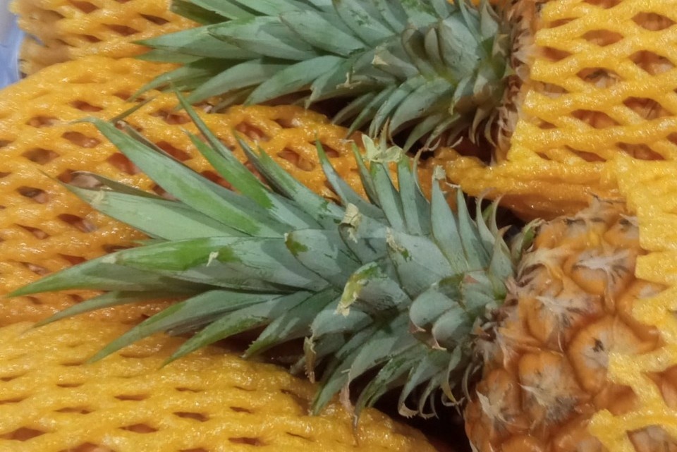    Фото: Управление Россельхознадзора по Красноярскому краю