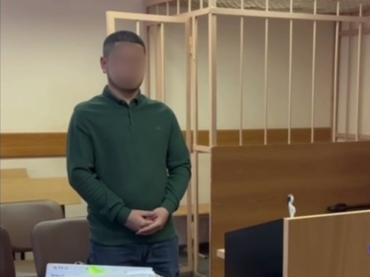     Фото: Скриншот видео от объединенной пресс-службы судов Петербурга.