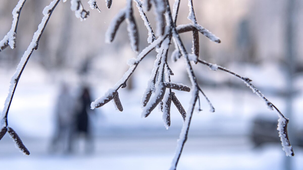    Фото: Oleg Spiridonov/globallookpress.com