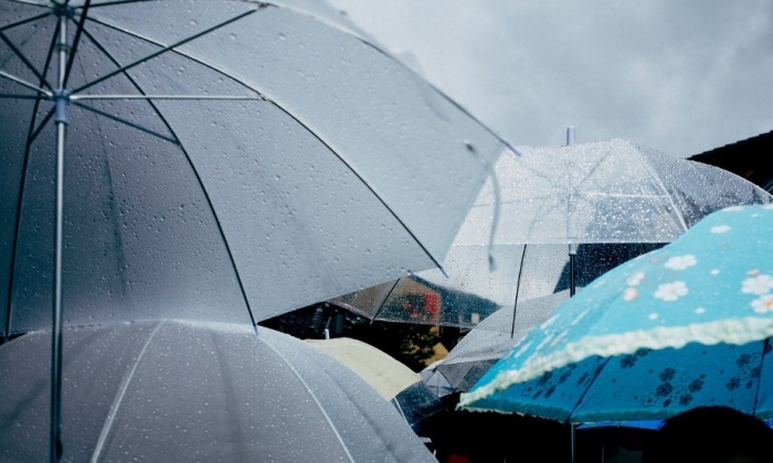    jcomp / ru.freepik.com