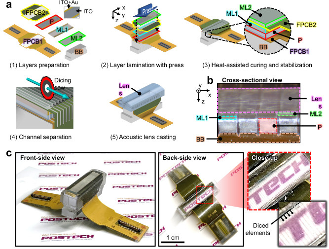 Рис. 1. Процесс изготовления матрицы прозрачных ультразвуковых преобразователей (TUT-матрицы). а) Пошаговый обзор процесса изготовления TUT-матрицы. б) Фотография поперечного сечения массива TUT. Все элементы точно выровнены. в) Фотографии массива TUT с лицевой и обратной стороны. ML — согласующий слой, FPCB — гибкая печатная плата, P — PMN-PT, BB — подложка, ITO — оксид индия-олова, Au — золото.