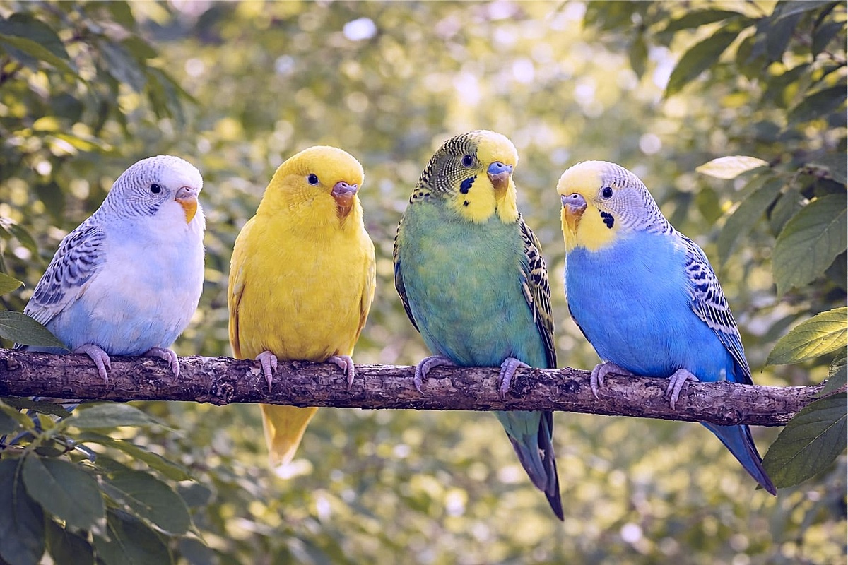 Наш разговор - ни о чём, для нас одних с тобой заметный